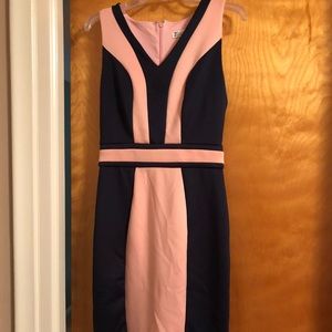 Pink and Navy dress from New York and Company.